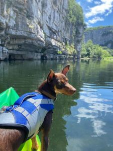 Faire du canoë avec son chien